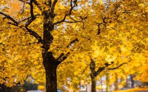 ���P(gu��n)��Ϥ�L(f��ng)������4ƪ