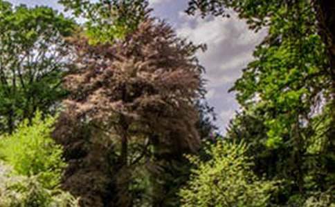 ���]���L���@߅��������44ƪ