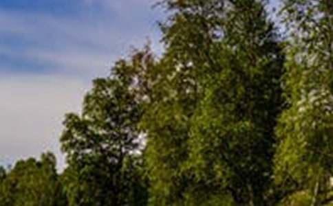 �����A�����˵��L��������ƪ