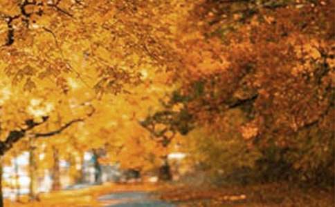 ���x�����е��L��������ƪ