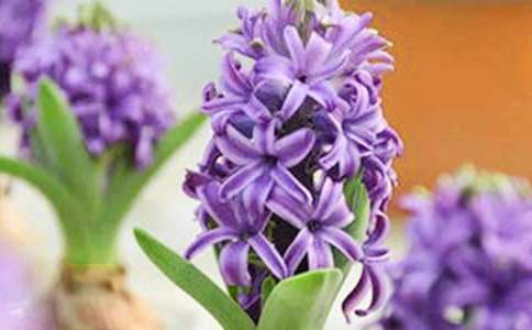 �L(f��ng)��������(��(y��u))