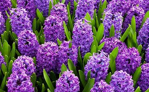 �L(f��ng)�����ֳ���