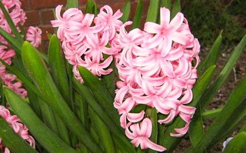 �L(f��ng)��������15ƪ