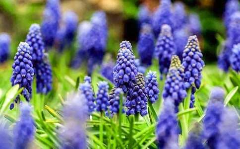 ���ϼ����L��������