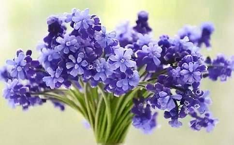 �L(f��ng)��������