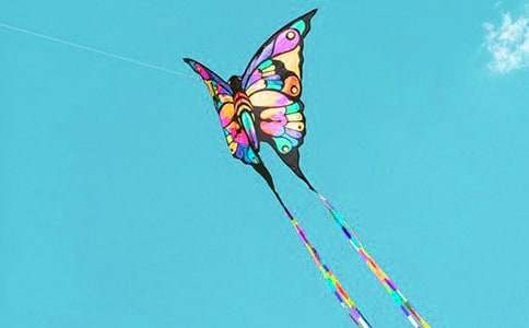 �L(f��ng)�~�;�����