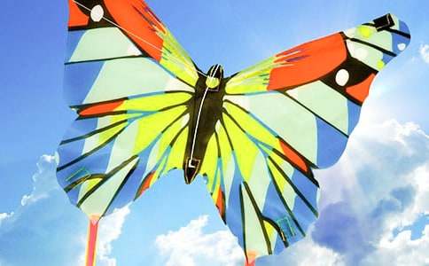 �L(f��ng)�~����������6ƪ