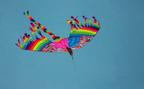 �L(f��ng)�~����������(�R��5ƪ)