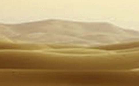 ���ϸɺ�֮����