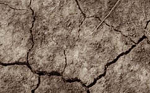 2014��������λ�Į���͸ɺ������}���G����Į �����Ї�