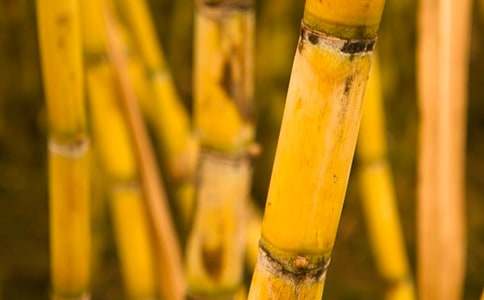 ���������(ͨ��15ƪ)