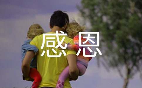 �ж���ĸ���Z