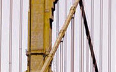 ��F�����@�Ӿ��ɵ�