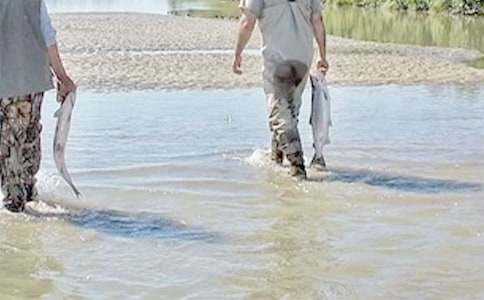 ��С������ĸ炃���x���