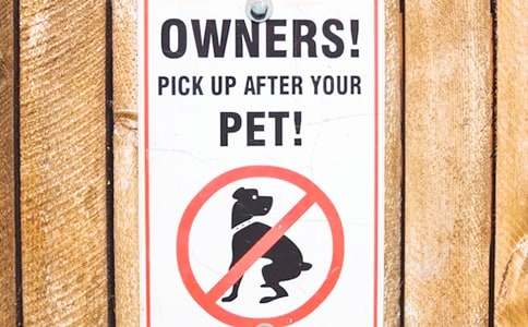 �������ʽ