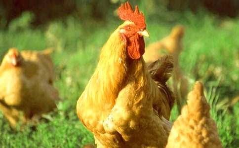 (�؂�)���Ĺ��u����15ƪ