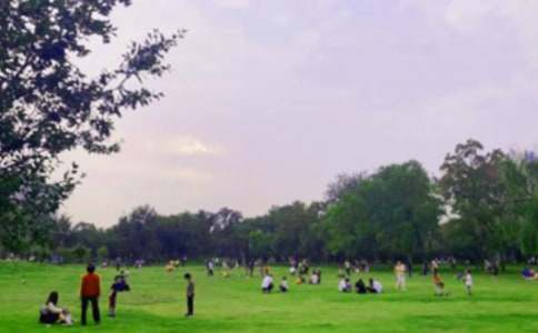 ���x���@��������5ƪ