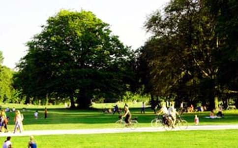 ���P(gu��n)���@��������300�օR��10ƪ