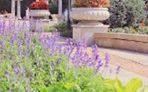 ���x���@��������6ƪ