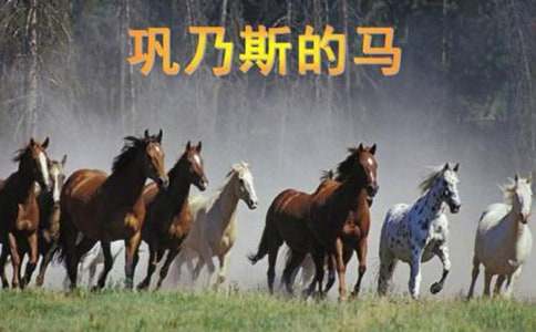 �����˹���R���n�Ì�(sh��)�