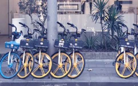 �����܇�����c������