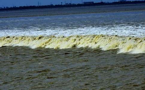 �^���g��