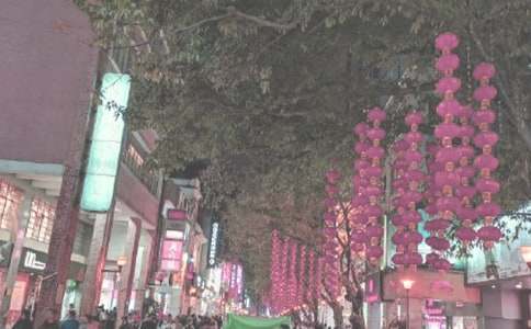 ُ��V���T���ʘ��Oʩ�����ƶȡ���(y��u)�x��