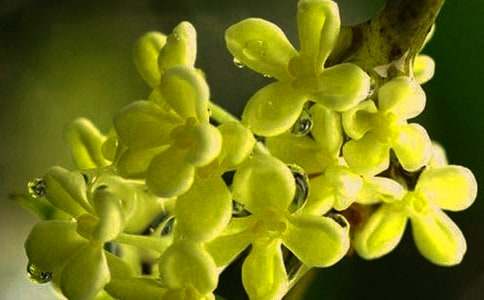 �茑�𻨵ă�(y��u)������