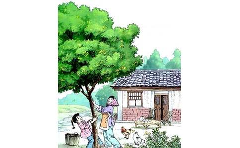 �����x���14ƪ