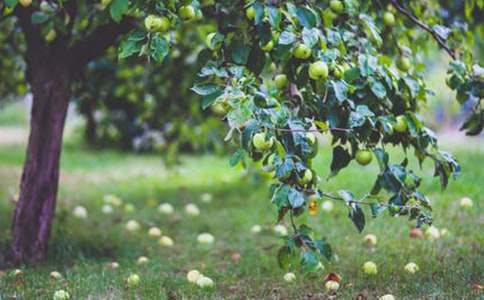 �����@�C(j��)���ˡ��̲����Ⅲ��