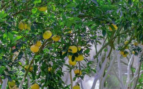 ��֮���@����