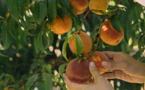 ���U���@��ͬ����