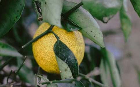 ��(��i)�㣡�(sh��)���@����