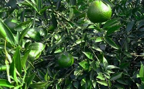 ���@�а���ͬ����