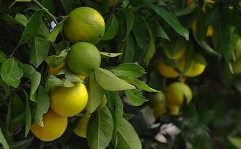 �ҼҵĹ��@����