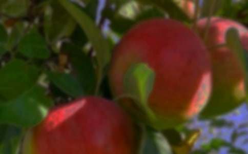 ���@��(y��u)������