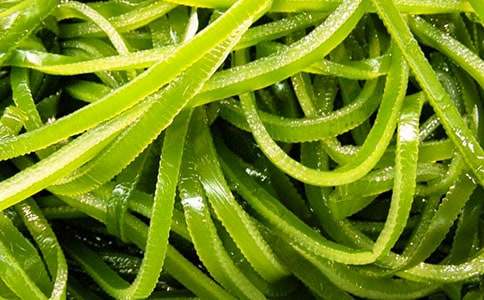 ����Ģ�����Ĺ�Ч�Լ�����������