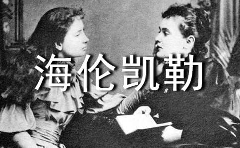 �����P���x���(15ƪ)