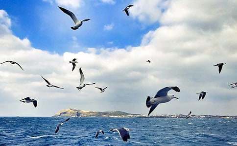 ���t�̼{ɭ�x���(15ƪ)