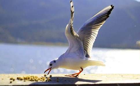 �����t�̼{ɭ���x���9ƪ