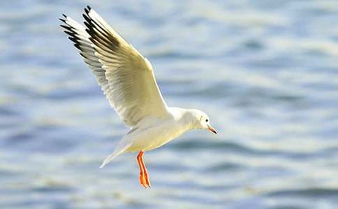 ���t�̼{ɭ�x��м���15ƪ