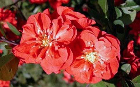 �����ֵ��������E��B