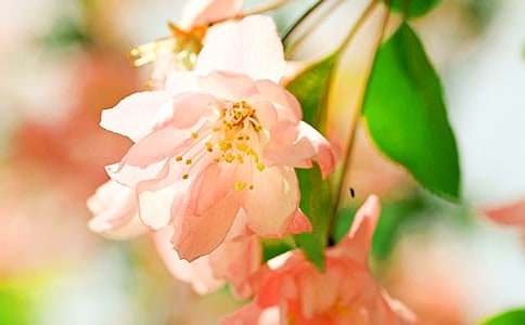 �����~���ġ��^���