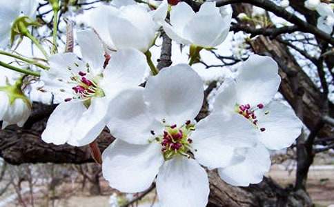 ���~�����^���12ƪ