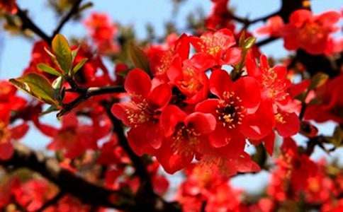 ���~�����^�����