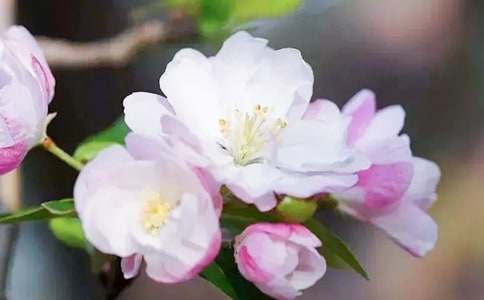 ���Ļ��_����