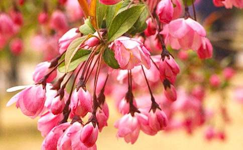 ���P��������