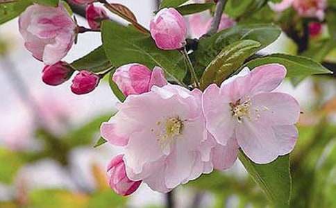 �����x�����Ļ�����3ƪ