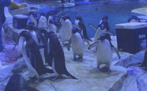 ����ۺ��󹫈@���ģ�ͨ��30ƪ��