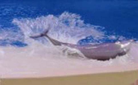 ���{ɫ�ĺ����u���x���